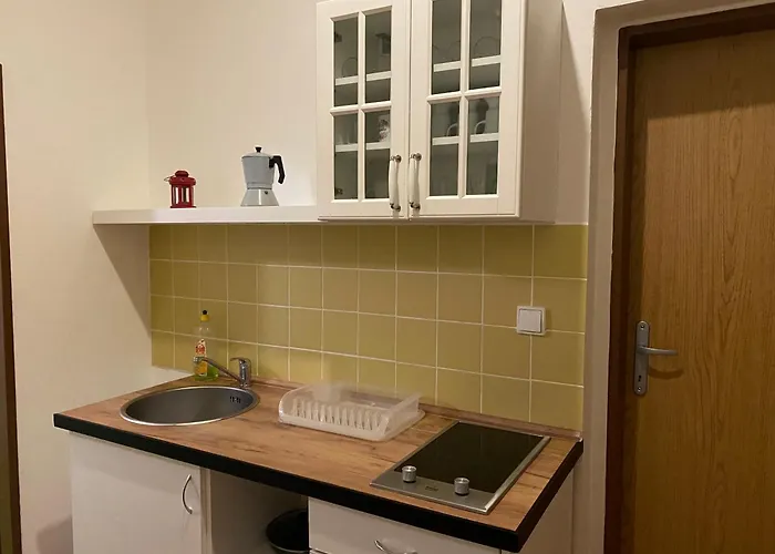 Best Apartments Teplice Апартаменты *