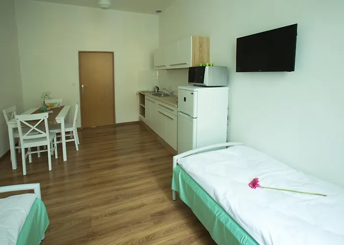 Best Apartments Teplice Апартаменты *